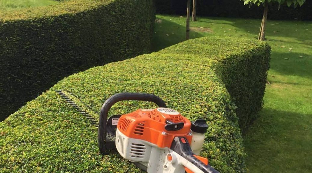 hedge trimming west gardeners