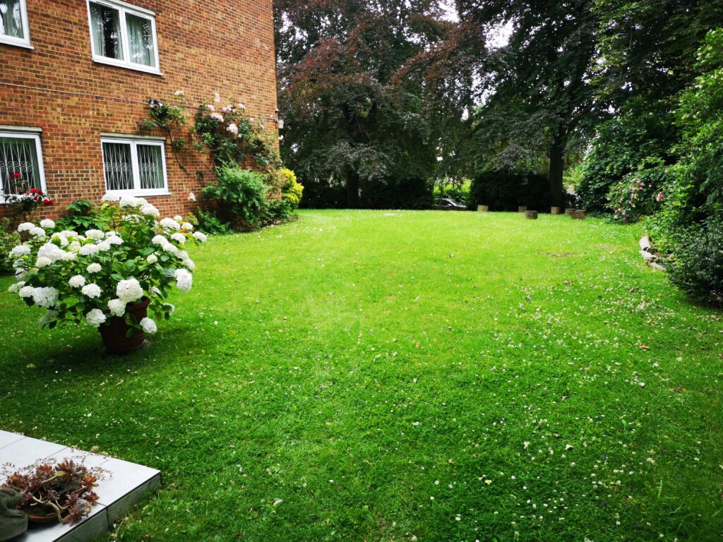 lawn care & mowing west gardeners