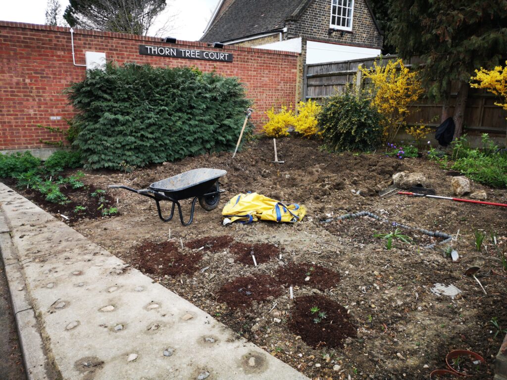 planting west gardeners in west london